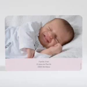 Remerciements naissance Douceur perchee*Faire-part Elégant Outlet