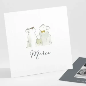 Remerciements naissance Famille*Faire-part Elégant Discount