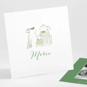 Remerciements naissance Famille*Faire-part Elégant Discount
