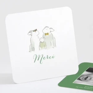 Remerciements naissance Famille*Faire-part Elégant Discount