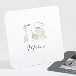 Remerciements naissance Famille*Faire-part Elégant Discount