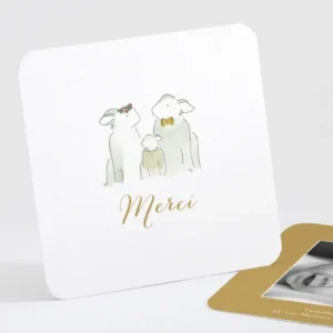 Remerciements naissance Famille*Faire-part Elégant Discount
