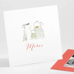 Remerciements naissance Famille*Faire-part Elégant Discount