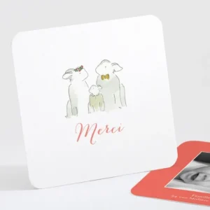 Remerciements naissance Famille*Faire-part Elégant Discount
