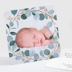 Remerciements naissance Green mood*Faire-part Elégant Discount