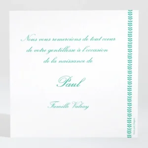 Remerciements naissance Guirlande de feuilles*Faire-part Elégant Online
