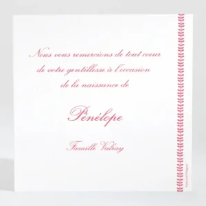 Remerciements naissance Guirlande de feuilles*Faire-part Elégant Online
