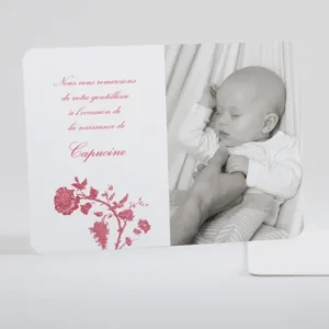 Remerciements naissance Jolie jungle*Faire-part Elégant New