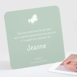 Remerciements naissance Joli poulain*Faire-part Elégant Outlet