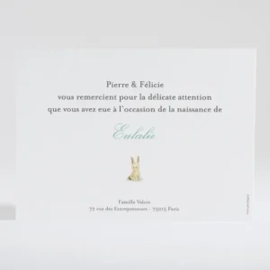 Remerciements naissance Lapin fille*Faire-part Elégant Fashion