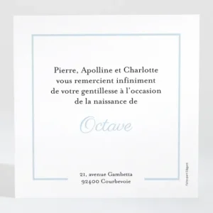 Remerciements naissance Lisere prenom paysage*Faire-part Elégant Fashion