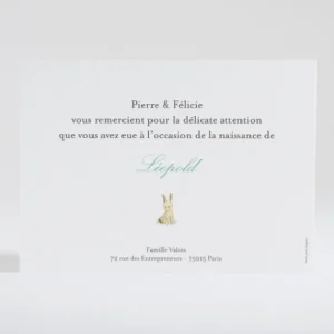 Remerciements naissance Lapin garcon*Faire-part Elégant Clearance
