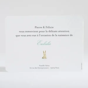 Remerciements naissance Lapin fille*Faire-part Elégant Fashion