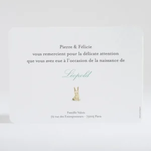 Remerciements naissance Lapin garcon*Faire-part Elégant Clearance