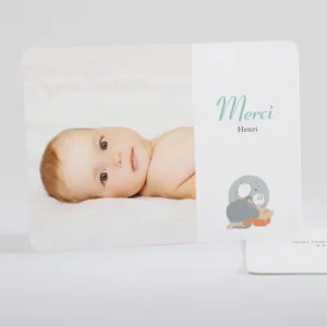 Remerciements naissance My little family boy*Faire-part Elégant Sale