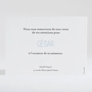 Remerciements naissance Multitude*Faire-part Elégant Hot