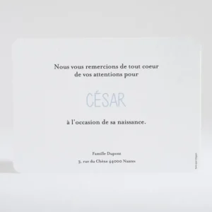 Remerciements naissance Multitude*Faire-part Elégant Hot