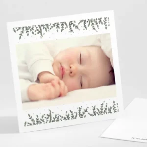 Remerciements naissance Petit ourson*Faire-part Elégant Clearance