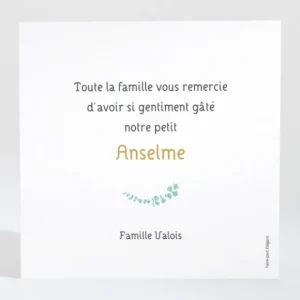 Remerciements naissance Petit miroir en osier*Faire-part Elégant Fashion