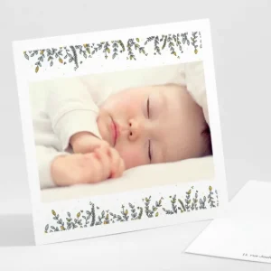 Remerciements naissance Petit ourson*Faire-part Elégant Clearance