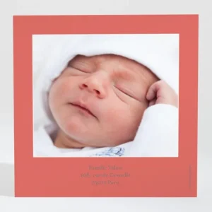 Remerciements naissance Petit faon*Faire-part Elégant Online