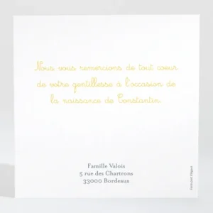 Remerciements naissance Ronde de bonheur*Faire-part Elégant Online