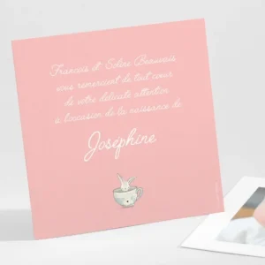Remerciements naissance Sweet rabbit*Faire-part Elégant Best