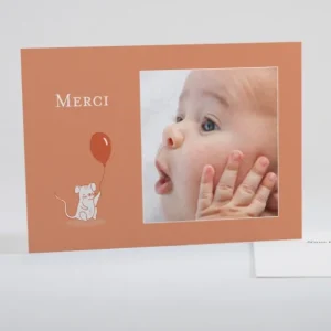 Remerciements naissance Souriceau*Faire-part Elégant Best