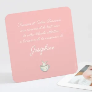 Remerciements naissance Sweet rabbit*Faire-part Elégant Best