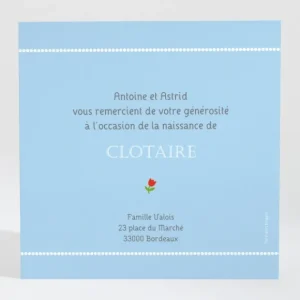 Remerciements naissance Tulipes*Faire-part Elégant Discount