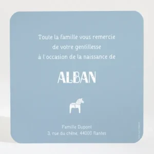 Remerciements naissance Uni*Faire-part Elégant Best