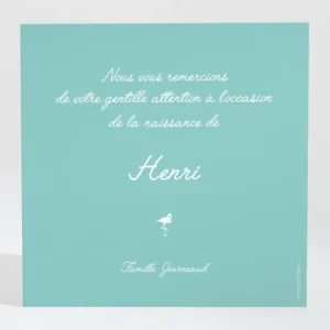 Remerciements naissance Vive les flamants roses*Faire-part Elégant Online