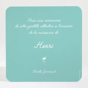 Remerciements naissance Vive les flamants roses*Faire-part Elégant Online
