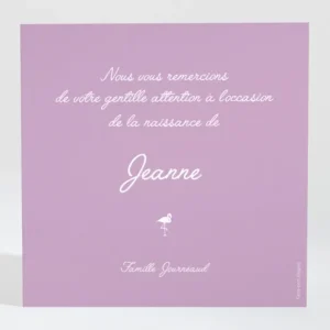 Remerciements naissance Vive les flamants roses*Faire-part Elégant Online